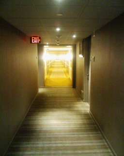 MGM Grand �̘L���P
