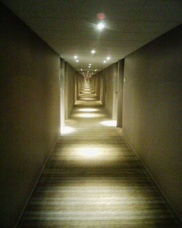 MGM Grand �̘L���Q