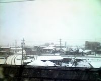 2010�N1��1���̐�i�F