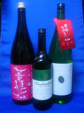 2014�N2��1���̔R���⋋
