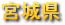 �{�錧