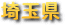 ��ʌ�