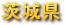 ��錧