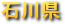 �ΐ쌧