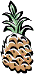 �p�C�i�b�v��