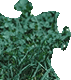 �s�[�X