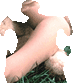 �s�[�X