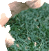 �s�[�X