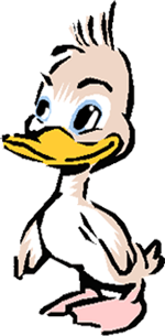 �A�q��