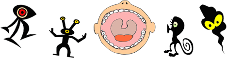 ���̎���Ƀo�C�L������