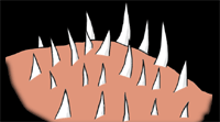 �j�̎R