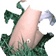 �s�[�X