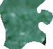 �s�[�X