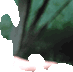 �s�[�X
