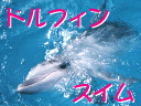 �h���t�B���X�C���c�A�[���|�[�g�@�a�̎R�E���n