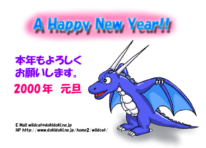 2000N̔N@̎Q