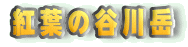 �g�t�̒J��x